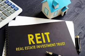 Read more about the article Living On REITs, Monthly Dividends You Can Retire On.